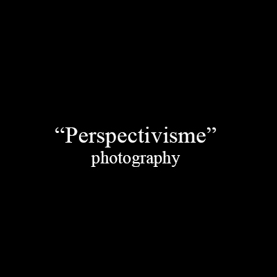 « Perspectivisme »