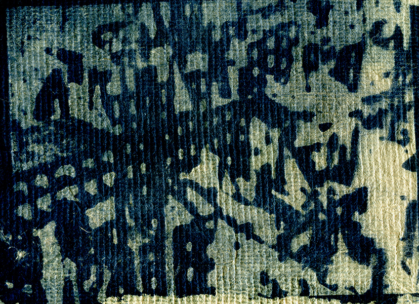 cyanotype sur papier chiffon 24x28